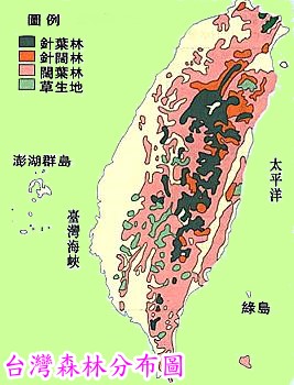 �x�W�˪L������