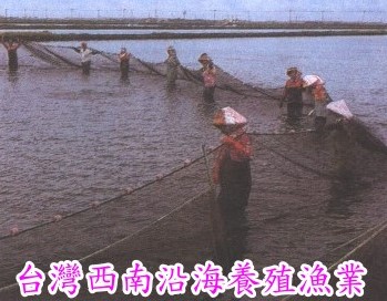 �x�W��n�u���i�޺��~