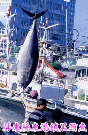 �F����C��