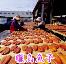 �ίQ���l