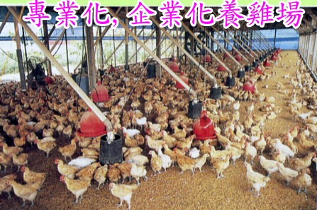 ���~�Ƹg��i����