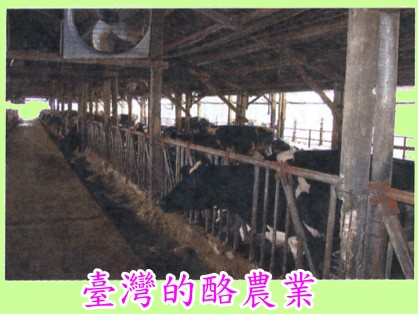 �x�W�T�A�~