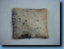 DSC03639.JPG