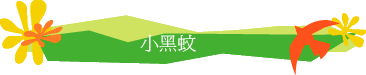 小黑蚊