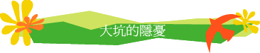 大坑的隱憂