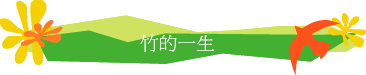 ˪@