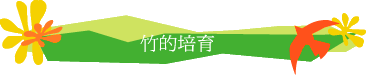 竹的培育