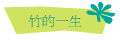 竹的一生