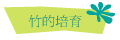 竹的培育