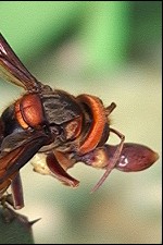 �§����Y���m�ܪ��}�������ά���