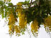 abo021.jpg (31845 Ӧ줸)