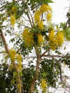 abo037.jpg (27586 Ӧ줸)