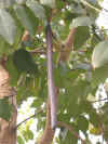 abo040.jpg (16215 Ӧ줸)