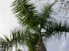 bk001.jpg (37206 Ӧ줸)