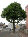 bt011.jpg (16620 Ӧ줸)