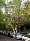 bt014.jpg (24995 Ӧ줸)