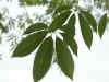 bw002.jpg (18726 Ӧ줸)