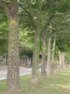 bw009.jpg (17865 Ӧ줸)