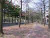 bw011.jpg (36282 Ӧ줸)