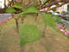 cg004.jpg (22897 Ӧ줸)