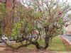 cg005.jpg (41988 Ӧ줸)