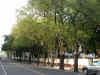 ch001.jpg (32453 Ӧ줸)