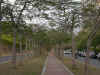 fo001.jpg (33510 Ӧ줸)