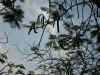 fo004.jpg (36080 Ӧ줸)