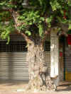 gt004.jpg (20023 Ӧ줸)