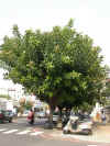 in002.jpg (18773 Ӧ줸)