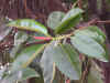 in003.jpg (25323 Ӧ줸)