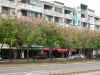 ts004.jpg (33917 Ӧ줸)