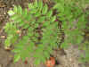 ts014.jpg (31037 Ӧ줸)