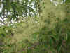 tw003.jpg (31987 Ӧ줸)