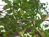 tw005.jpg (29619 Ӧ줸)