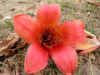 wc001.jpg (26085 Ӧ줸)