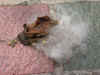 wc005.jpg (25296 Ӧ줸)
