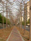 wc019.jpg (21786 Ӧ줸)