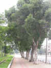 wt003.jpg (17080 Ӧ줸)