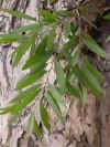 wt005.jpg (18881 Ӧ줸)