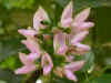 wy004.jpg (16987 Ӧ줸)
