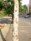 wy013.jpg (17301 Ӧ줸)