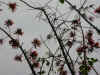 ym001.jpg (31023 Ӧ줸)