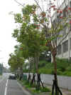 ym007.jpg (18560 Ӧ줸)