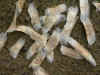 yw006.jpg (29530 Ӧ줸)