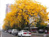 yw010.jpg (37034 Ӧ줸)