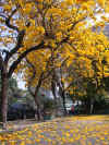 yw013.jpg (27732 Ӧ줸)