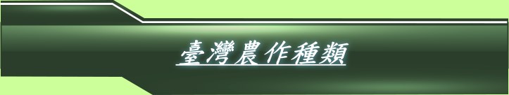 台灣農作種類