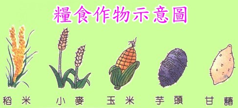 糧食作物圖