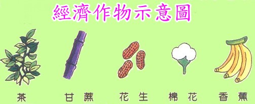 經濟作物圖
